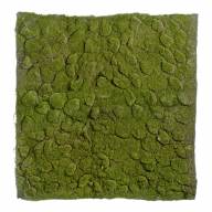 Мох Soft искусственный зеленый - Мох Soft искусственный зеленый
