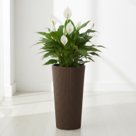 Кашпо Pink-Apple Rondo Jumper с автополивом - Кашпо Pink-Apple Rondo Jumper с автополивом