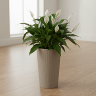 Кашпо Pink-Apple Rondo Jumper с автополивом - Кашпо Pink-Apple Rondo Jumper с автополивом