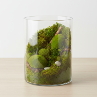 Ваза Трубка 200 прозрачное стекло - Ваза Трубка 200 прозрачное стекло