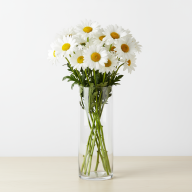 Ваза Трубка 200 прозрачное стекло - Ваза Трубка 200 прозрачное стекло