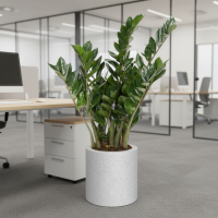 Кашпо (пластик) Pink-Apple Cilindro 