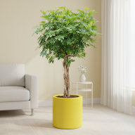 Кашпо (пластик) Pink-Apple Cilindro  - Кашпо (пластик) Pink-Apple Cilindro 