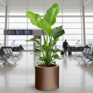 Кашпо (пластик) Pink-Apple Cilindro  - Кашпо (пластик) Pink-Apple Cilindro 