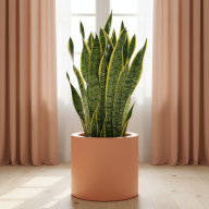 Кашпо (пластик) Pink-Apple Cilindro  - Кашпо (пластик) Pink-Apple Cilindro 