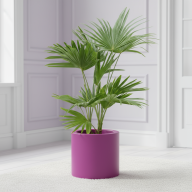 Кашпо (пластик) Pink-Apple Cilindro  - Кашпо (пластик) Pink-Apple Cilindro 