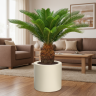 Кашпо (пластик) Pink-Apple Cilindro  - Кашпо (пластик) Pink-Apple Cilindro 