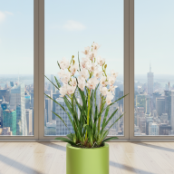 Кашпо (пластик) Pink-Apple Cilindro  - Кашпо (пластик) Pink-Apple Cilindro 