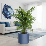 Кашпо (пластик) Pink-Apple Cilindro  - Кашпо (пластик) Pink-Apple Cilindro 