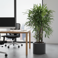 Кашпо (пластик) Pink-Apple Cilindro  - Кашпо (пластик) Pink-Apple Cilindro 