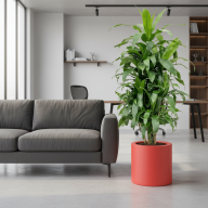 Кашпо (пластик) Pink-Apple Cilindro  - Кашпо (пластик) Pink-Apple Cilindro 