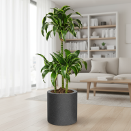 Кашпо (пластик) Pink-Apple Cilindro  - Кашпо (пластик) Pink-Apple Cilindro 