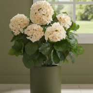 Кашпо (пластик) Pink-Apple Cilindro  - Кашпо (пластик) Pink-Apple Cilindro 