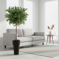 Кашпо (пластик) Pink-Apple Ray - Кашпо (пластик) Pink-Apple Ray