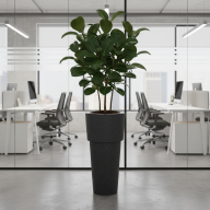 Кашпо (пластик) Pink-Apple Ray - Кашпо (пластик) Pink-Apple Ray