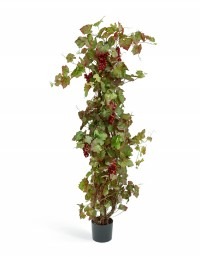 Виноградная лоза с красным виноградом искусствен. Высота 160 см 