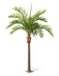Гигантская Финиковая пальма (сборная) искусствен.