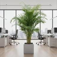 Кашпо Pink-Apple Carré Magique - Кашпо Pink-Apple Carré Magique