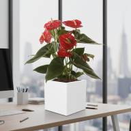 Кашпо Pink-Apple Carré Magique - Кашпо Pink-Apple Carré Magique