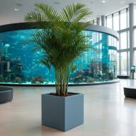 Кашпо Pink-Apple Carré Magique - Кашпо Pink-Apple Carré Magique