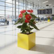 Кашпо Pink-Apple Carré Magique - Кашпо Pink-Apple Carré Magique