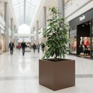 Кашпо Pink-Apple Carré Magique - Кашпо Pink-Apple Carré Magique