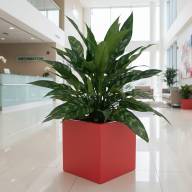 Кашпо Pink-Apple Carré Magique - Кашпо Pink-Apple Carré Magique