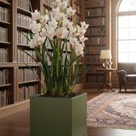 Кашпо Pink-Apple Carré Magique - Кашпо Pink-Apple Carré Magique