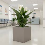 Кашпо Pink-Apple Carré Magique - Кашпо Pink-Apple Carré Magique