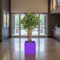 Кашпо Pink-Apple Carré Magique - Кашпо Pink-Apple Carré Magique