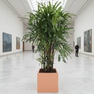 Кашпо Pink-Apple Carré Magique - Кашпо Pink-Apple Carré Magique