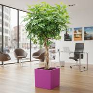 Кашпо Pink-Apple Carré Magique - Кашпо Pink-Apple Carré Magique