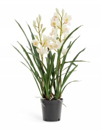 Искусственная Орхидея Цимбидиум белая куст в кашпо 2 ветки 100 см