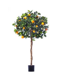 Мандарин голден оранж штамбовый Высота 120 см искусствен.