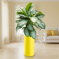 Кашпо (пластик) Pink-Apple Cilindro высокое - Кашпо (пластик) Pink-Apple Cilindro высокое