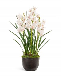 Орхидея Цимбидиум куст 3 ветки искусственный с имитацией земли 115 см Real Touch (без кашпо)