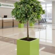 Кашпо Pink-Apple Carré Magique Большие - Кашпо Pink-Apple Carré Magique Большие