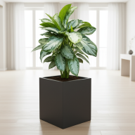 Кашпо Pink-Apple Carré Magique Большие - Кашпо Pink-Apple Carré Magique Большие