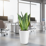 Кашпо (пластик) Pink-Apple Rose  - Кашпо (пластик) Pink-Apple Rose 