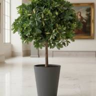 Кашпо (пластик) Pink-Apple Rose  - Кашпо (пластик) Pink-Apple Rose 