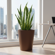 Кашпо (пластик) Pink-Apple Rose  - Кашпо (пластик) Pink-Apple Rose 