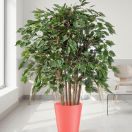 Кашпо (пластик) Pink-Apple Rose  - Кашпо (пластик) Pink-Apple Rose 