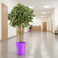 Кашпо (пластик) Pink-Apple Rose  - Кашпо (пластик) Pink-Apple Rose 