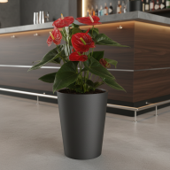 Кашпо (пластик) Pink-Apple Rose  - Кашпо (пластик) Pink-Apple Rose 