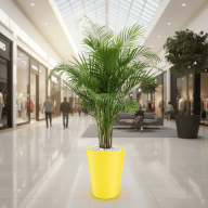 Кашпо (пластик) Pink-Apple Rose  - Кашпо (пластик) Pink-Apple Rose 