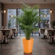 Кашпо (пластик) Pink-Apple Rose  - Кашпо (пластик) Pink-Apple Rose 