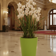 Кашпо (пластик) Pink-Apple Rose  - Кашпо (пластик) Pink-Apple Rose 