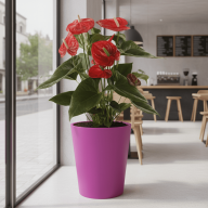 Кашпо (пластик) Pink-Apple Rose  - Кашпо (пластик) Pink-Apple Rose 