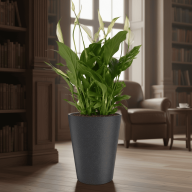 Кашпо (пластик) Pink-Apple Rose  - Кашпо (пластик) Pink-Apple Rose 