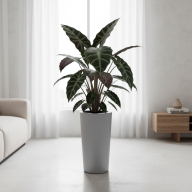 Кашпо (пластик) Pink-apple Cono  - Кашпо (пластик) Pink-apple Cono 